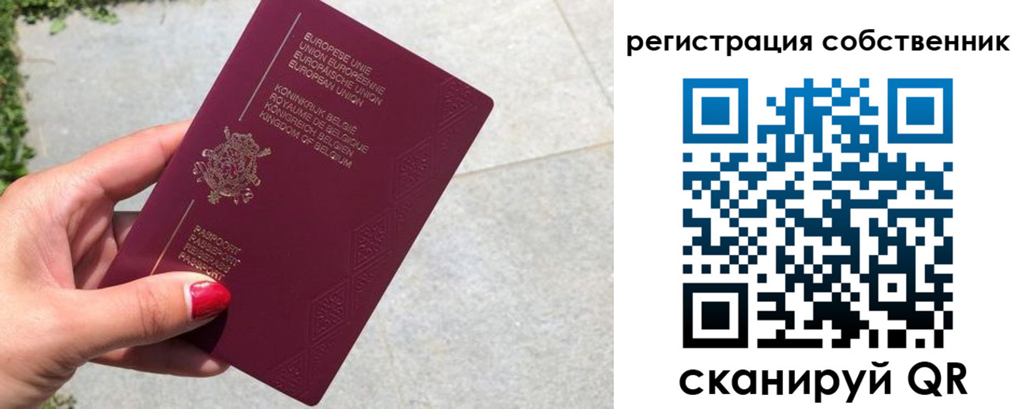 временная регистрация поиск в Дальнегорске